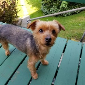 Meet your Posher, Wilson